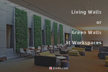 Living Walls or Green Walls at Workspaces